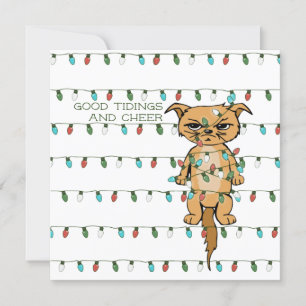 Gato gracioso enredado Kitty en Navidad enciende m