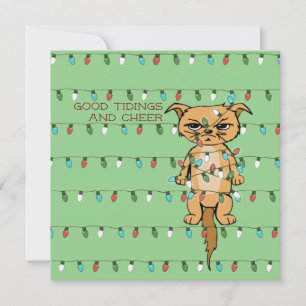 Gato gracioso torcido gitano en Navidad alumbra ve
