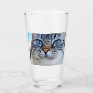 Gato gris