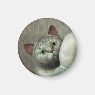 Gato Gris 1 Imán