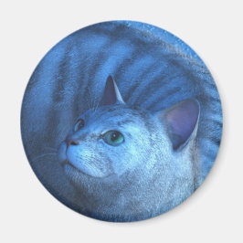 Gato Gris 4 Imán