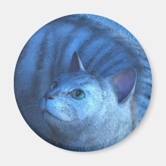 Gato Gris 4 Imán