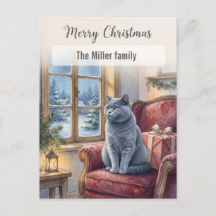 Gato Gris Acogedor Navidad Ventana Navidad Persona