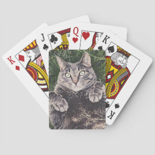 gato gris acostado en la hierba Cartas clásicas pa