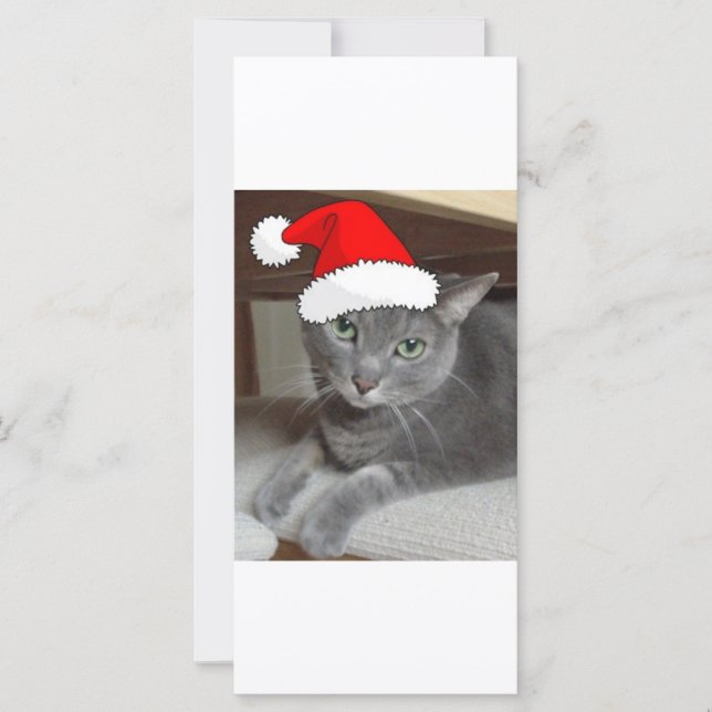 Gato gris azul ruso navidad (Anverso)
