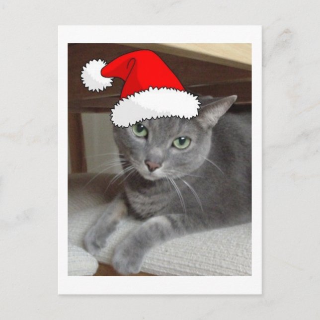 Gato gris azul ruso navidad (Anverso)