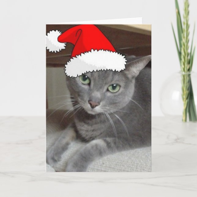 Gato gris azul ruso navidad (Anverso)