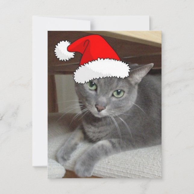Gato gris azul ruso navidad (Anverso)