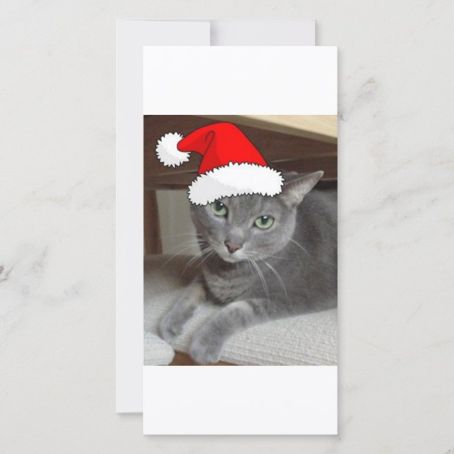 Gato gris azul ruso navidad (Anverso)
