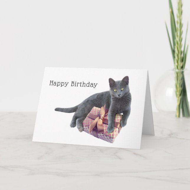 Gato gris con la actual tarjeta de cumpleaños (Anverso)