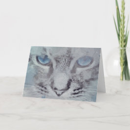 Gato gris con ojos azules nueva tarjeta de bienven