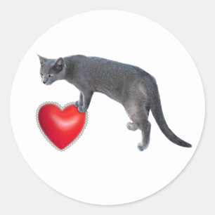 Gato gris con Pegatinas del corazón rojo