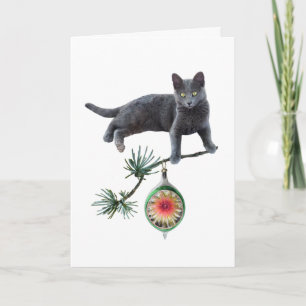 Gato gris con tarjeta de ornamento
