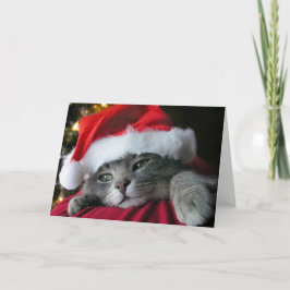 Gato gris hermoso del gatito del navidad