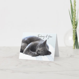 Gato gris lindo pensando en tu tarjeta