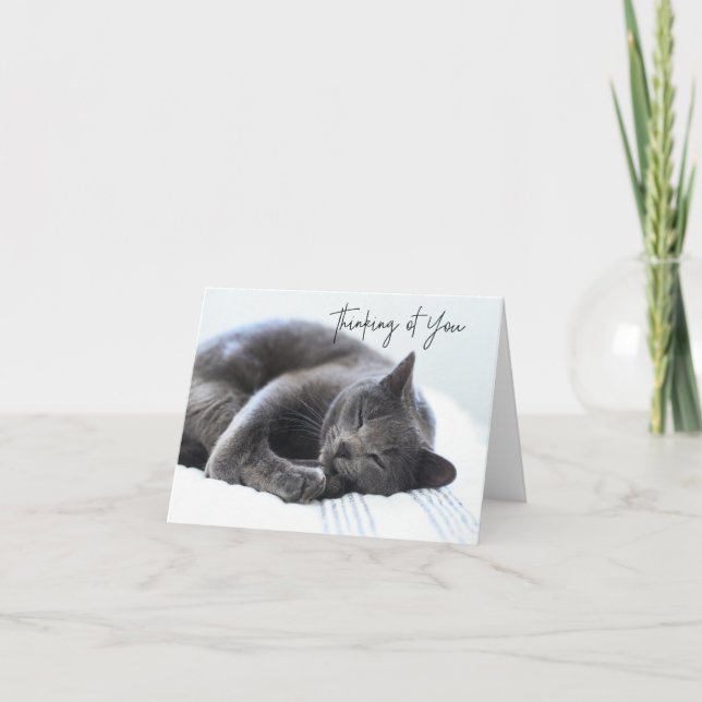 Gato gris lindo pensando en tu tarjeta (Anverso)
