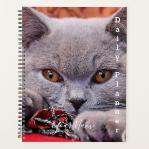 Gato Gris - Planificador Diario- HAMbWG