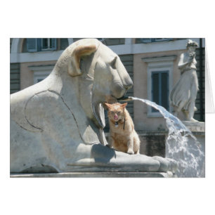 Gato gruñón en Roma, fuente en plaza