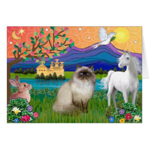 Gato Himalayo de Punta de Chocolate - Tierra de Fa