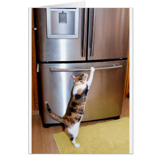 Gato irrumpiendo en el refrigerador, créate tu car