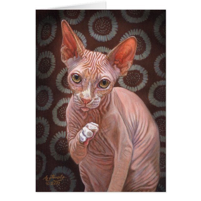 Gato Jack de la esfinge de Sphynx (Frente)