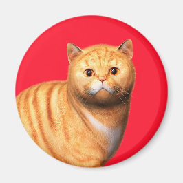Gato Jengibre 3 Imán