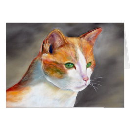 gato jengibre (a348)