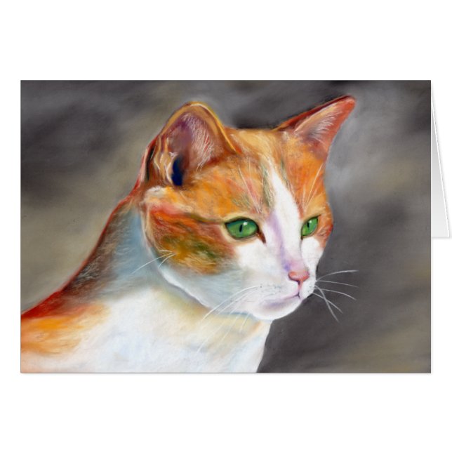 gato jengibre (a348) (Anverso (Horizontal))