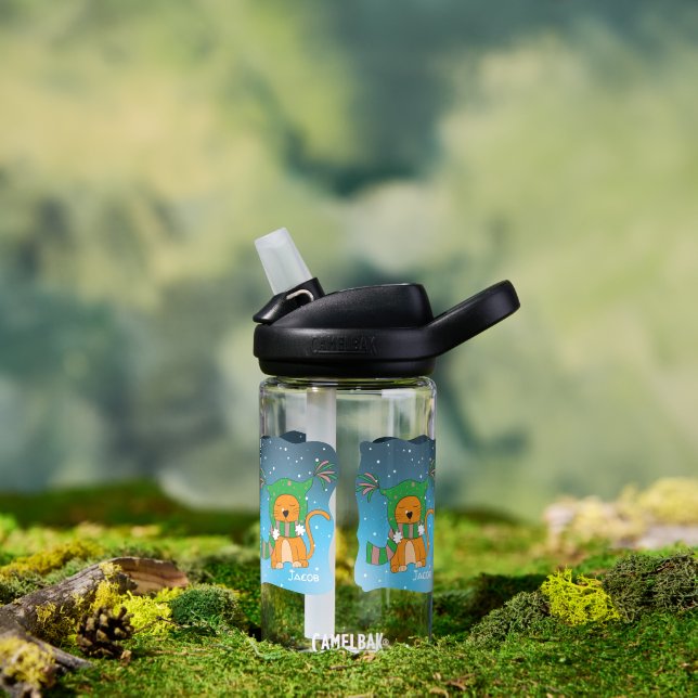 Gato jengibre en botella de agua del niño de nieve (Al aire libre)