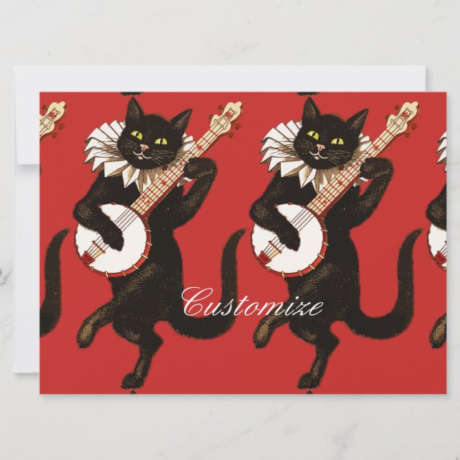 Gato jugando Banjo Thunder_Cove (Anverso)