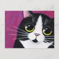 Gato Kitty De Tuxedo En Postales Rosa