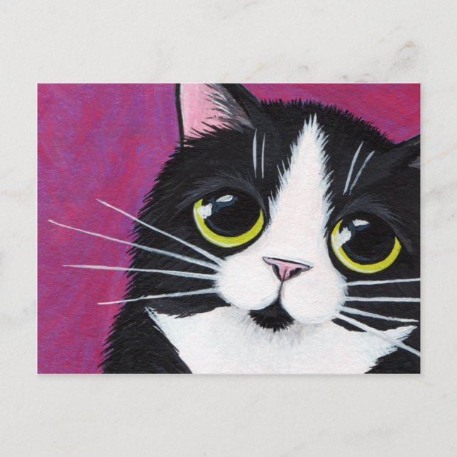 Gato Kitty De Tuxedo En Postales Rosa (Anverso)