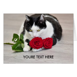 Gato lindo con el rosa rojo