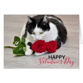 Gato lindo con el rosa rojo