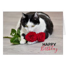 Gato lindo con la rosa roja