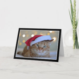Gato lindo con tarjeta de Navidades de Santa Hat