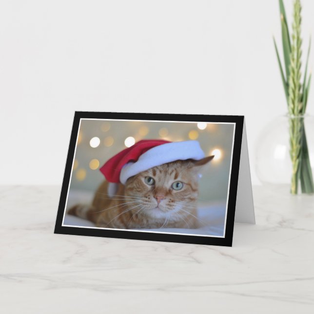 Gato lindo con tarjeta de Navidades de Santa Hat (Anverso)