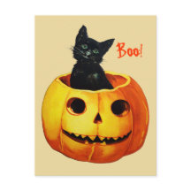 Gato Lindo en Calabaza Tarjeta Postal Vintage de H