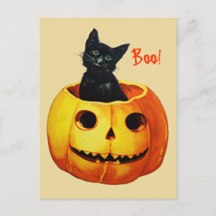 Gato Lindo en Calabaza Tarjeta Postal Vintage de H