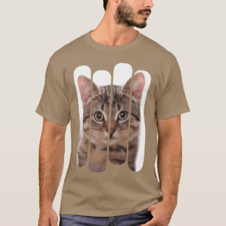 Gato lindo gato inocente mirando la camisa diverti