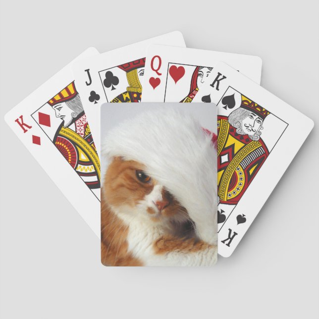 Gato lindo que lleva naipes del gorra de Santa (Reverso)