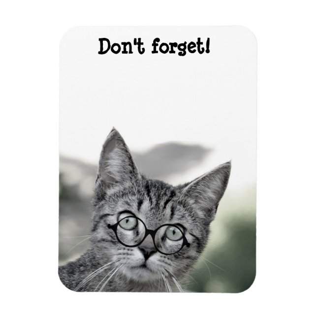 Gato lindo sorprendido con imán de gafas (Vertical)