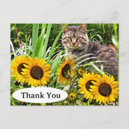 Gato lindo y girasoles gracias postal