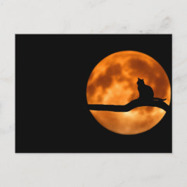 Gato lunar - postal