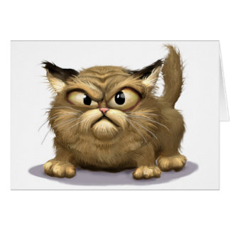 Gato malo