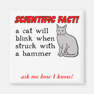 Gato Martillo Imán Divertido Humor