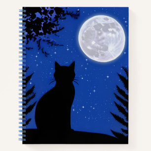Gato mirando en el diario de la luna llena