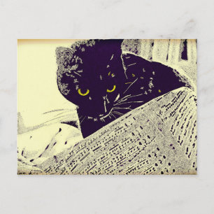 Gato musical - Postal