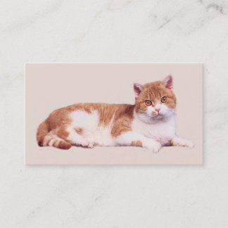 Gato nadie tarjeta de visita de Purrfect