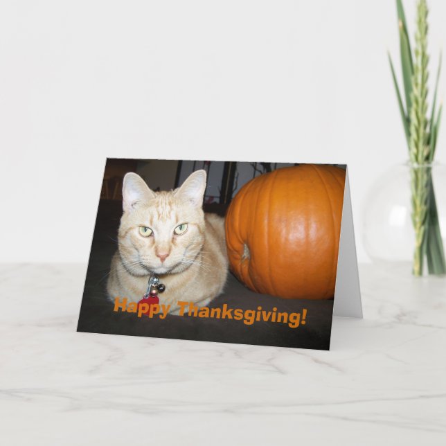 Gato naranja con tarjeta de acción de gracias feli (Anverso)